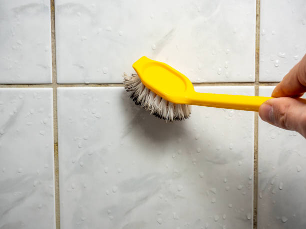 Best Mold Remediation for Schools in Camdenton, MO