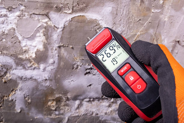 Best DIY Mold Remediation Support Services in Camdenton, MO