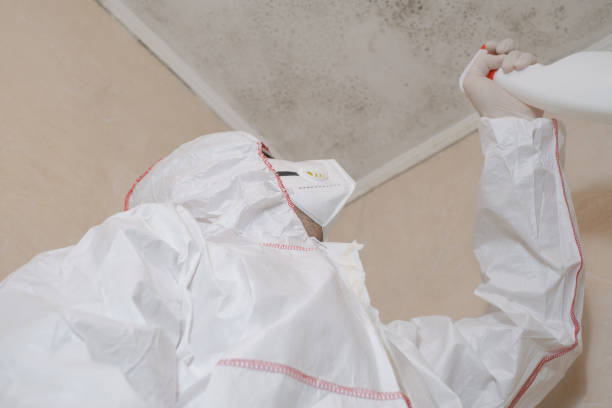Best Industrial Mold Remediation in Camdenton, MO